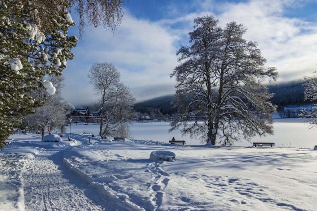 Waldklang Titisee 外观 照片