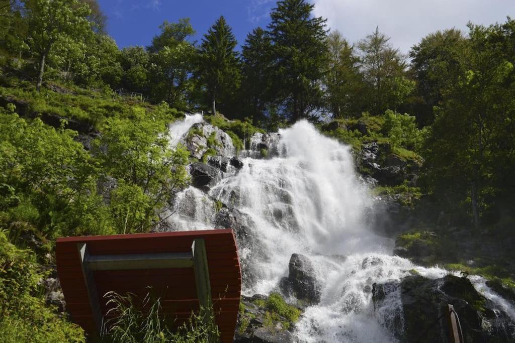 Waldklang Titisee 外观 照片