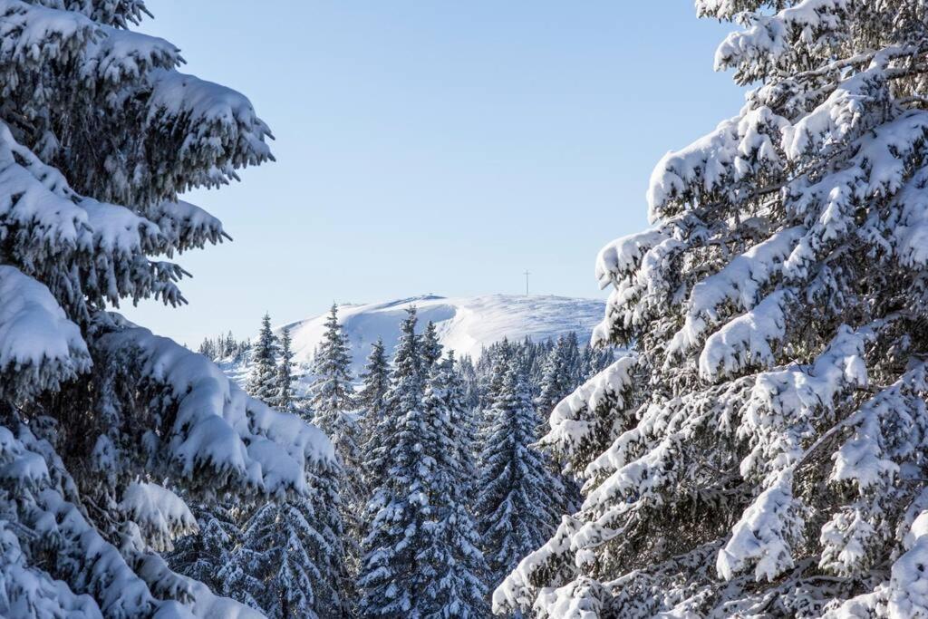 Waldklang Titisee 外观 照片