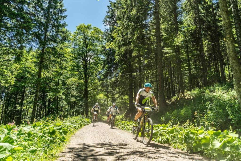 Waldklang Titisee 外观 照片